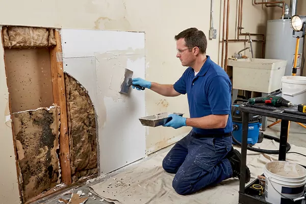 Mold and Drywall Repair Fort Collins