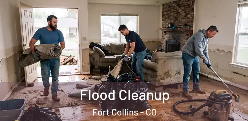 Flood Cleanup Fort Collins - CO