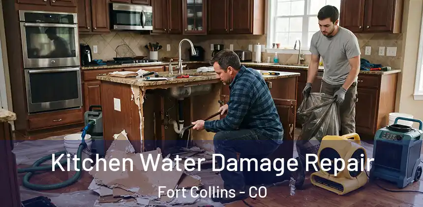  Kitchen Water Damage Repair Fort Collins - CO