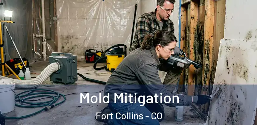  Mold Mitigation Fort Collins - CO