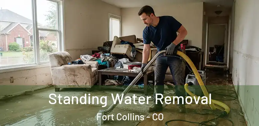  Standing Water Removal Fort Collins - CO