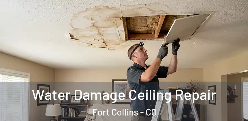  Water Damage Ceiling Repair Fort Collins - CO