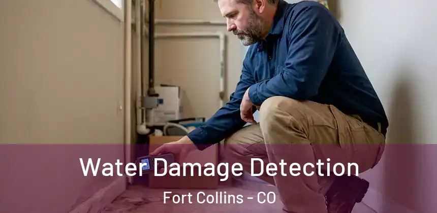 Water Damage Detection Fort Collins - CO
