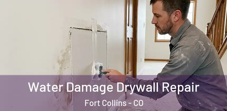  Water Damage Drywall Repair Fort Collins - CO