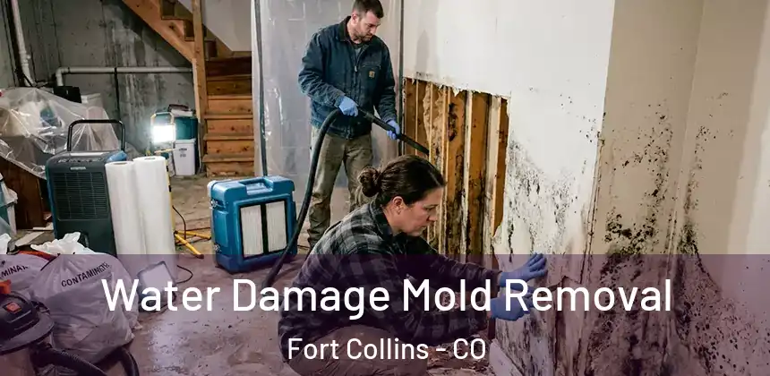  Water Damage Mold Removal Fort Collins - CO