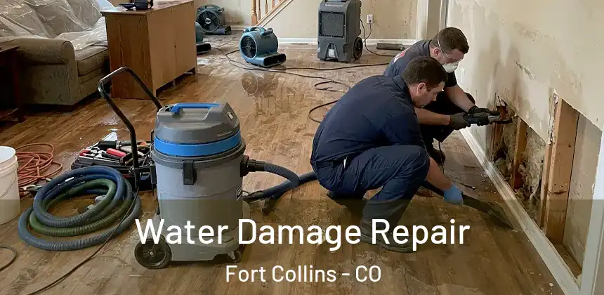  Water Damage Repair Fort Collins - CO