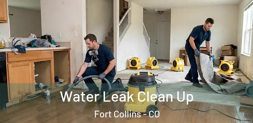 Water Leak Clean Up Fort Collins - CO