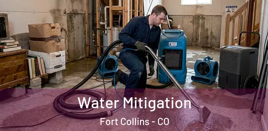  Water Mitigation Fort Collins - CO