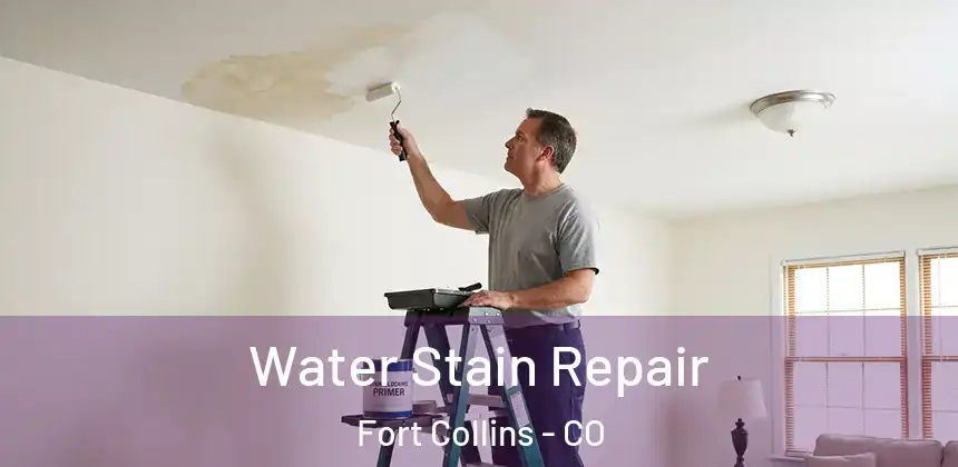 Water Stain Repair Fort Collins - CO